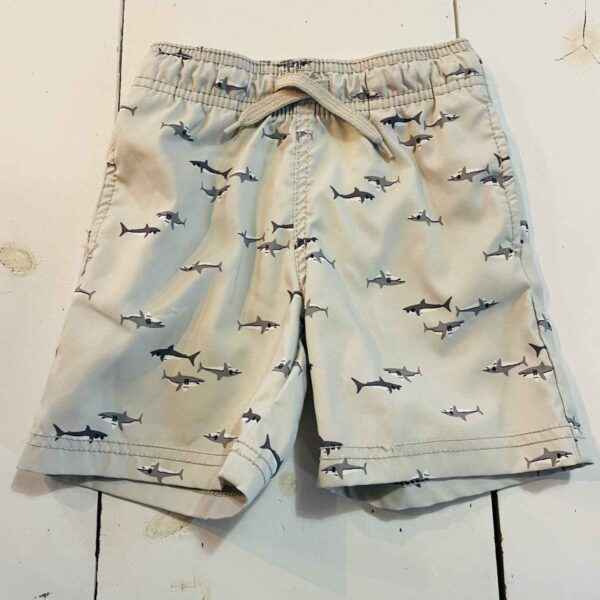 Carter's Swim Shorts Size 3T