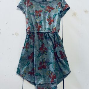 LulaRoe Ariel Dress 4